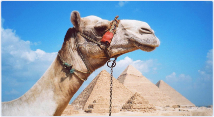 egypt-resort-1.jpg
